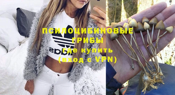 а пвп мука Переславль-Залесский