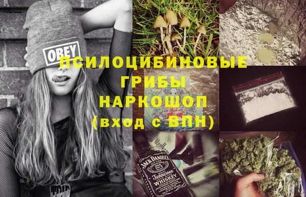 эйфоретик Пестово