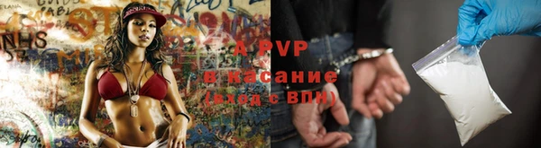 прущие крисы Пересвет