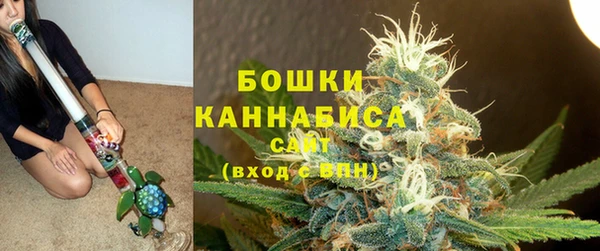 прущие крисы Пересвет