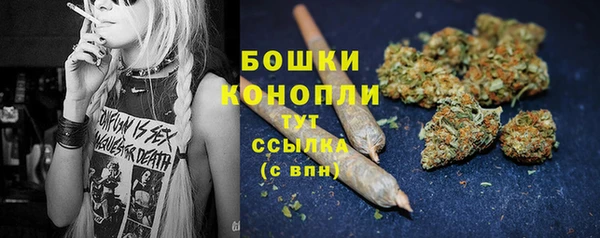 эйфоретик Пестово